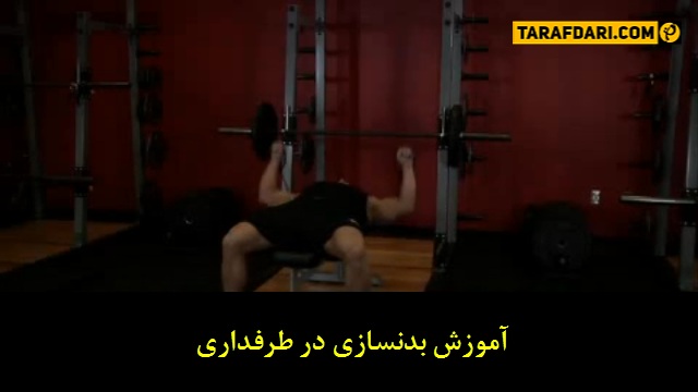 ویدیوی زیرنویس-پرس سینه-fitness-gym-work out-Bench Press