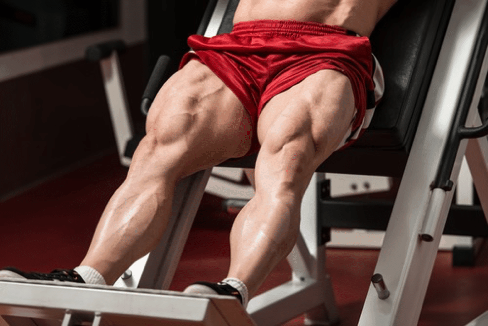 عضلات چهار سر ران-Quadriceps femoris muscle