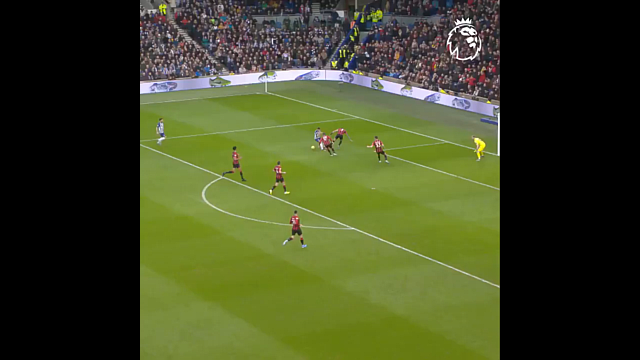 برایتون-منچسترسیتی-brighton-manchester city-لیگ برتر-انگلیس